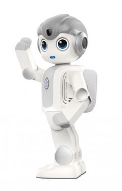 Robot maatje - Afbeelding 2